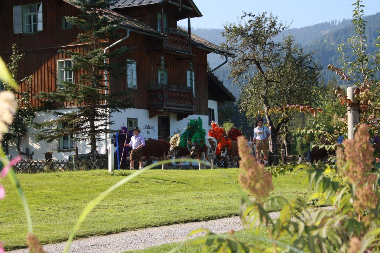 Gaestehaus Hoegerhof Hopfgarten im Brixental Exteriér fotografie